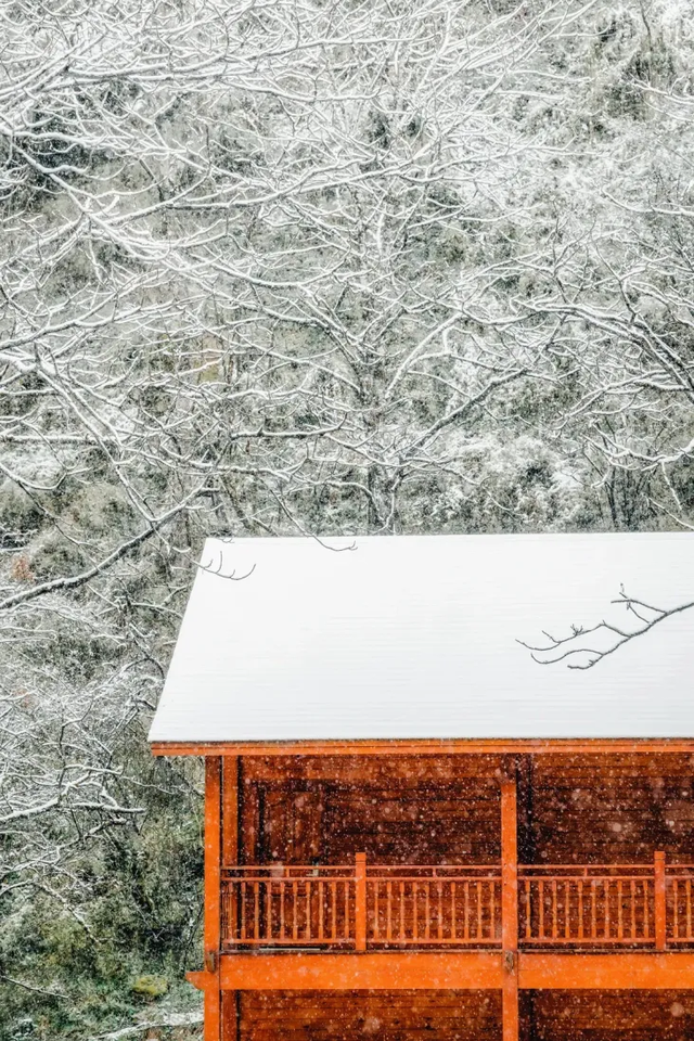 在雅安！！这么美的雪景我当然狠狠宣传啊啊啊！！