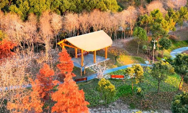 横沔公园成新晋网红打卡点，浦东5座新公园新年齐亮相