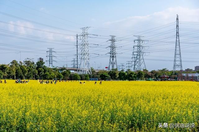 春天曼妙广东就藏爱这12个地方，赶紧去打卡吧。