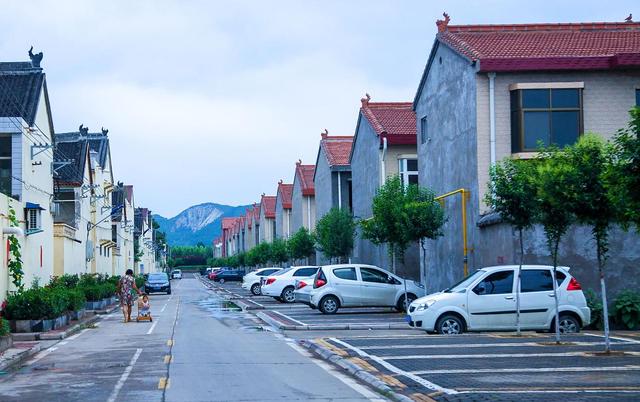 老王坡实现蝶变的密码是什么？