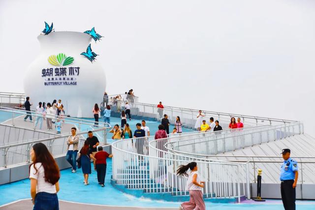 明日启幕!蝴蝶村“村糖会”甜蜜登场,承包你的元旦假期