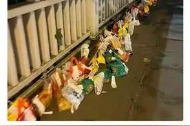 胖猫你的拼搏值得学习，遗憾是没有学会的就是爱自己图片