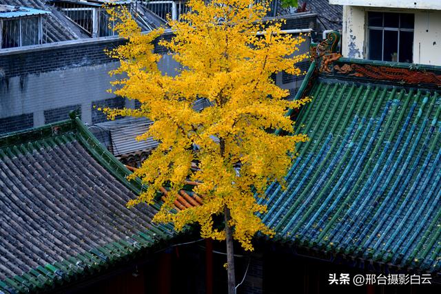 邢台火神庙：邂逅一场千年之约的绝美秋色（图/原创）