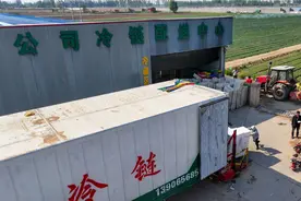 产地冷链物流政策将出 多产业迎利好图片