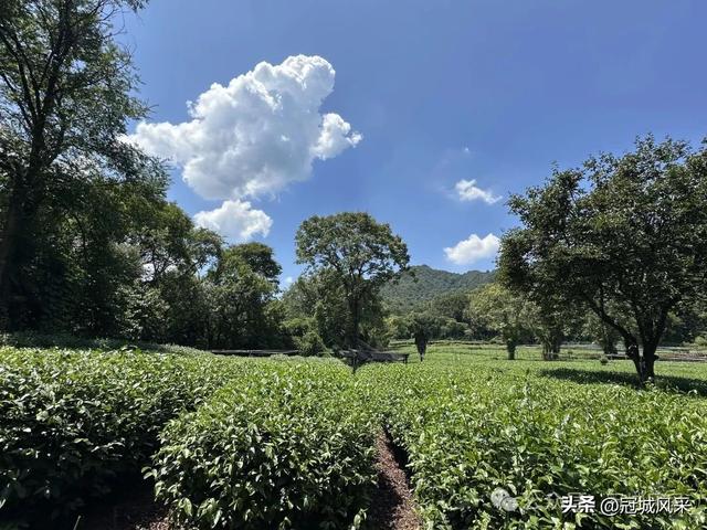 杭州印象·灵隐飞来峰