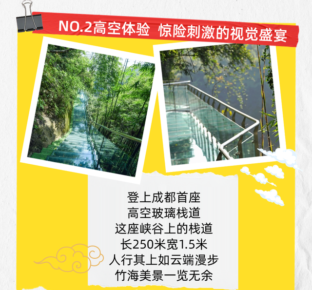 邂逅竹海秋日，解锁25℃的绿意仙境！
