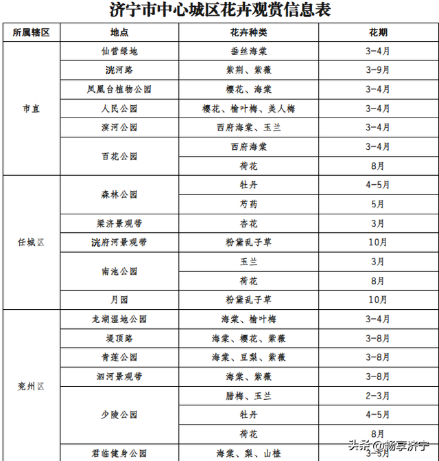 济宁市2026年赏花地图来啦，好看的地方还真不少呢，你去过几个？