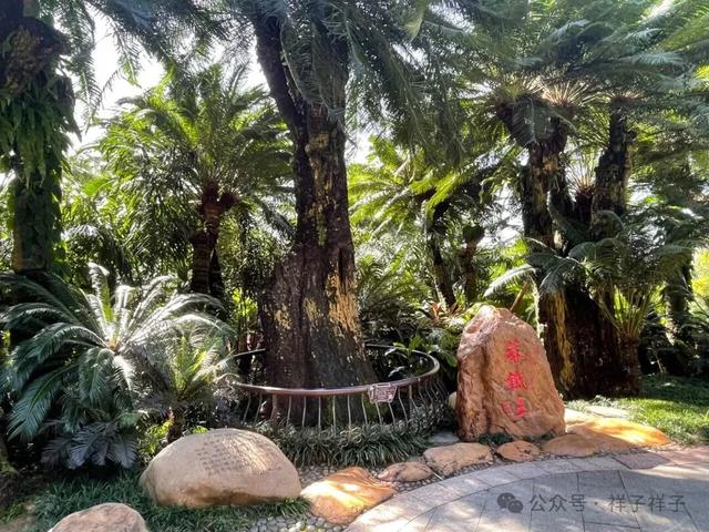 广西游记（3）：南宁青秀山与广西博物馆