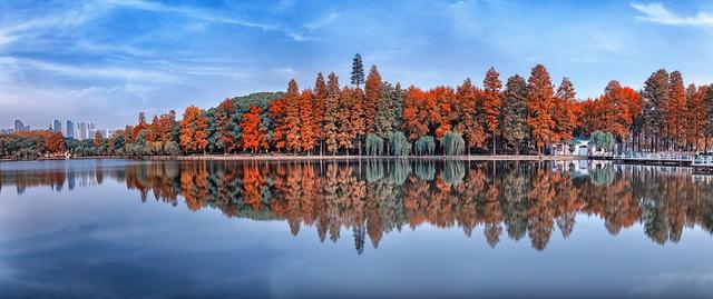 湖北小众秋色段位榜：这6条宝藏路线，让你独占整个秋天！