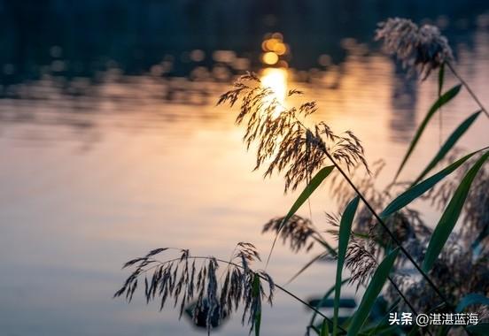 现在北京绿心公园的红叶红了没有？好看吗？从P6停车场咋去红叶道