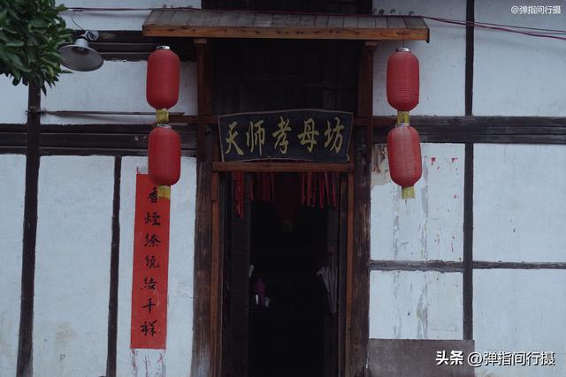 江西有座神奇的“无蚊村”，依山傍水无蚊子，樟树艾草筑天然屏障
