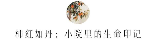 为了这棵树，我专门飞了一趟北京！