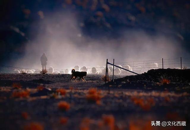 阿里！浓缩了西藏最极致的风光！看完这5种绝色才算不虚此行！