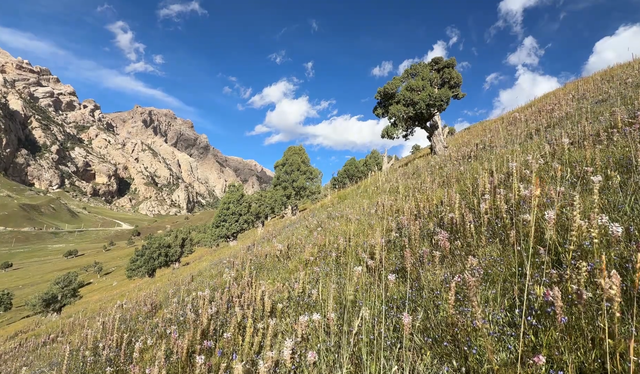 朔士美学之柏树山：东方小瑞士，名不虚传，有一刻恍惚回到从前