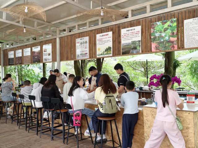 住进远山 独享醇香——思茅区“用一场咖旅 打开一城咖香”系列报道①