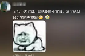 铲屎官必看！婚礼惊现“抢婚”狗子？网友爆笑：他比爸妈更不舍！图片