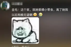 铲屎官必看！婚礼惊现“抢婚”狗子？网友爆笑：他比爸妈更不舍！图片