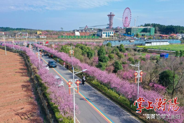 衡阳春日限定！收好这份踏青赏花打卡攻略~