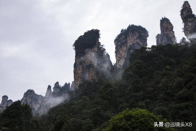 张家界国家森林公园的自然诗篇