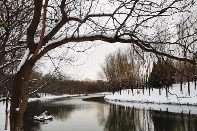 北京奥林匹克森林公园 城市中的绿色明珠