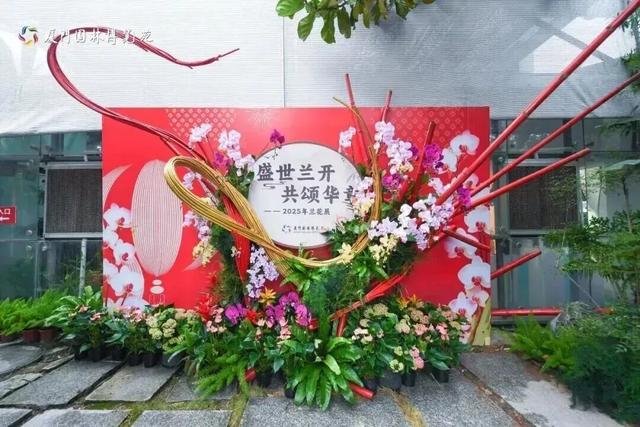 园博苑灯会、市集“常驻”啦！还有绝美花海……
