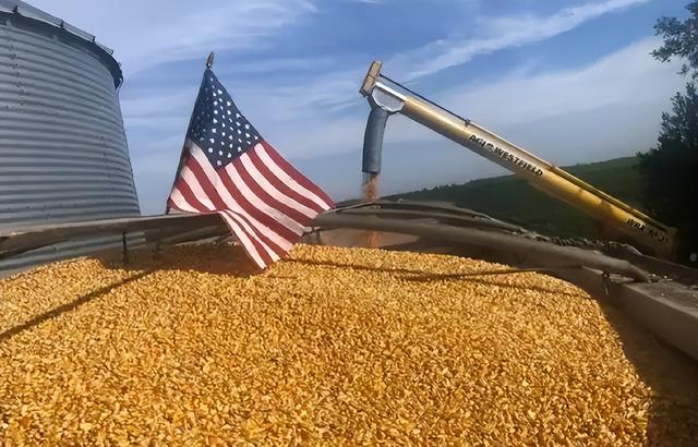 特朗普下令，要把中企一锅端，美禁令生效前	，中国取消10万吨订单