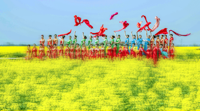 临湘市第七届江南油菜花节3月11日启幕，邀你共赴绚丽春天