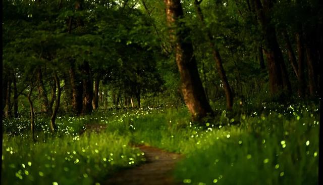 借自然妙手重现源头生机 循生态之道护美绿水青山——瓯江源头区域“中国山水工程”实践