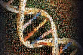 文明起源三：从高维视角看DNA序列编码图片