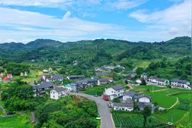 改革风正劲 “渝”跃潮头⑮ | 激发农业农村发展新活力 跑出乡村振兴“加速度”图片
