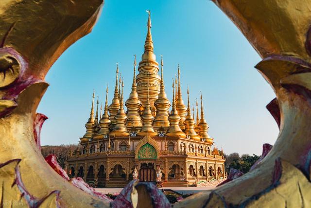 强烈建议！12 月一定要去一次西双版纳！不愧是中国必看暖冬之一！