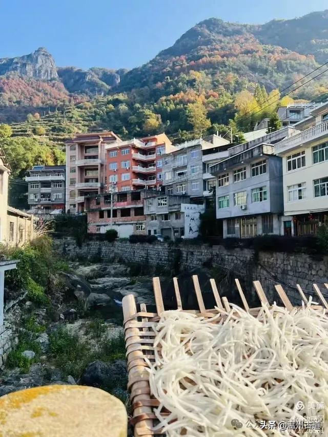 约吗?温州此处枫叶已渐红,这周末将进入赏红叶佳期!