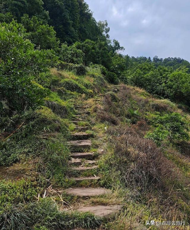 成都蒲江爆红徒步路线，观景台可观四姑娘山和贡嘎雪山，全部免费