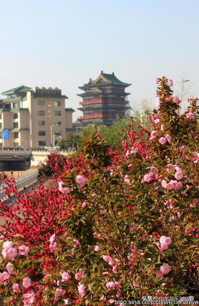 江西省博物馆·抚河两岸风光（江西之旅第廿五篇）