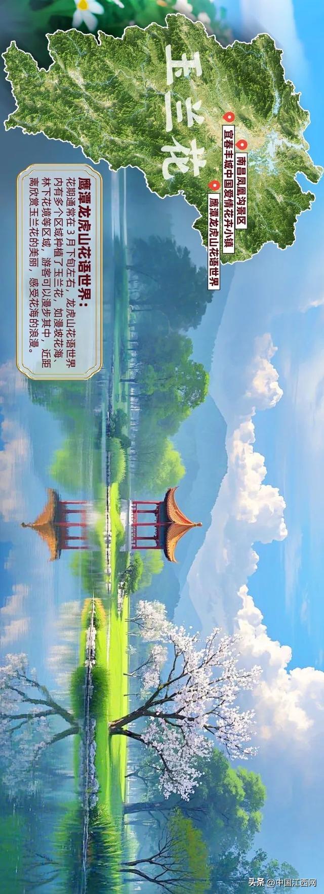 探春花丨江西春日赏花地图正式发布！