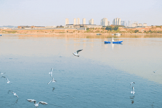 在泸州，我真的很羡慕住在老城区的人！