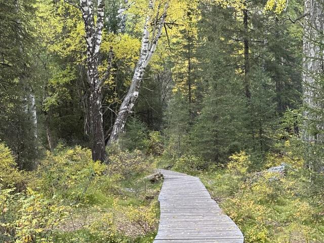 五彩斑斓喀纳斯