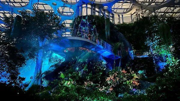 温室夜游，露天电影，夜场观展……夏夜消闲就在“双子山”下