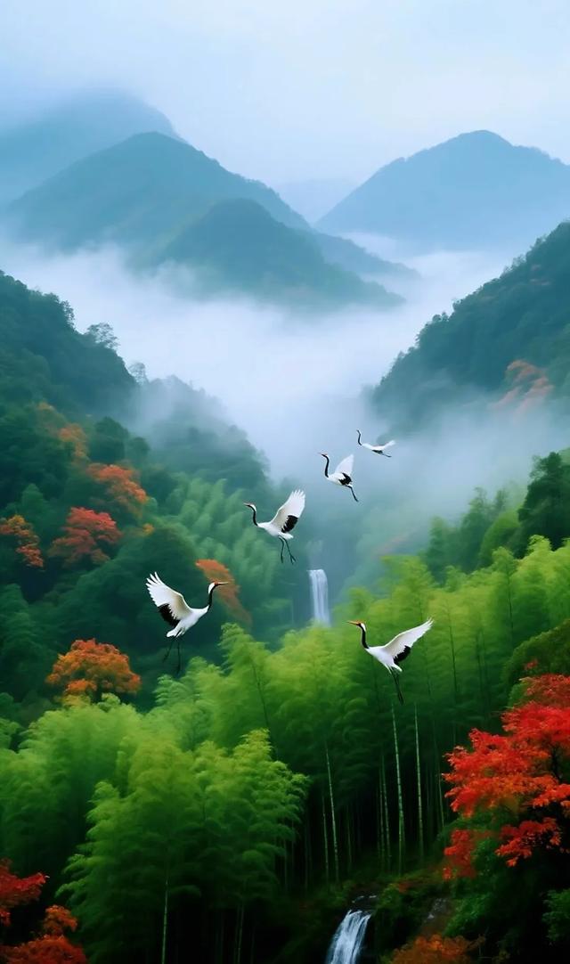 #竹林 #好风景