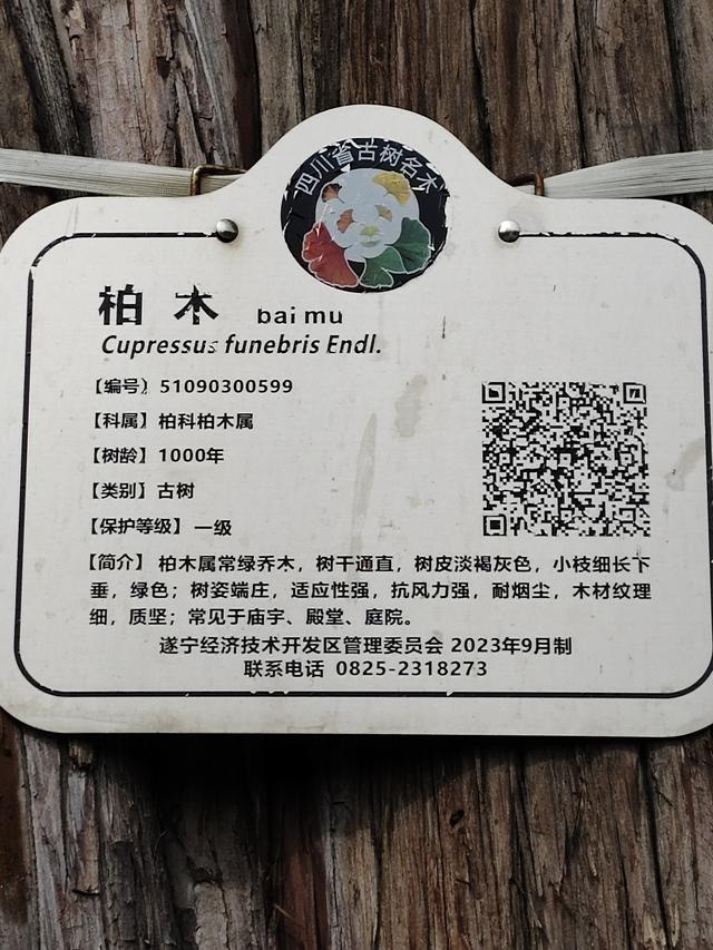 南行漫记：离开南充走G318到达遂宁，驻车圣莲岛营地