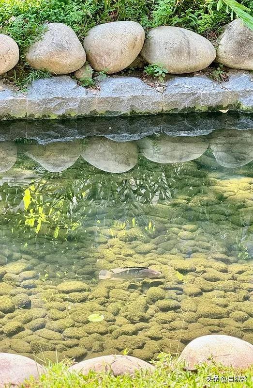 台中旧城巡礼～电子街商圈X绿川水岸半日游，找零件、跳乌龟