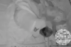 可怕！育儿嫂凌晨突然起身压住百天婴儿，监控视频曝光……图片