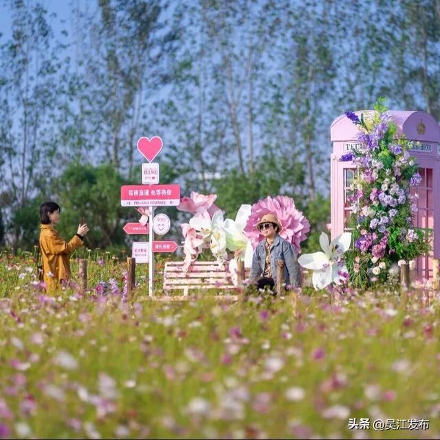 周末去打卡丨太好拍~东太湖绝美机位，“框框”出大片！