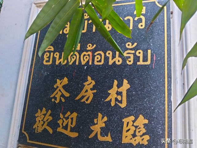 “走几步路就必须摇扇的地方”，靠茶泡出和谐之地