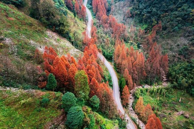 成都适合带一家人去的6个登高好去处推荐！