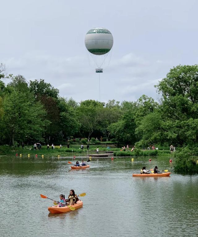 杭州这5个地方彻底火了！不去肠子都悔青！赶紧收藏！