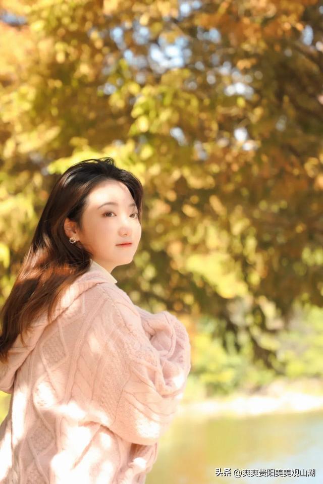 观山湖藏着一封金色情书，落款是银杏与梧桐（附最全攻略）