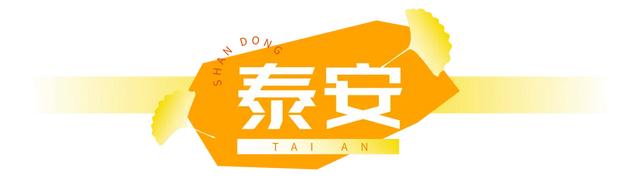 山东：时至初冬，银杏正当时