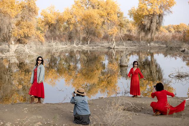 新疆沙雅：金秋邂逅“醉”美胡杨 470万亩金色林海迎观赏佳期