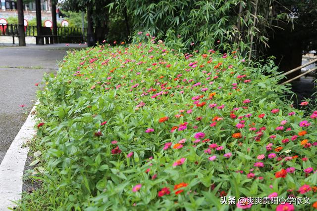修文县六屯镇大木村：旅游避暑正当时